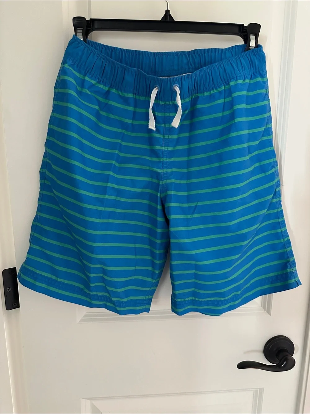 Hanna Andersson Blue and Green Striped Swim Trunks